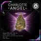 Charlotte's Angel by Amber Farms