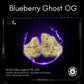 Blueberry Ghost OG